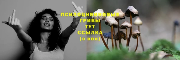 герыч Абаза