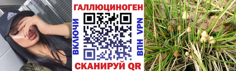 Галлюциногенные грибы мухоморы Ковдор